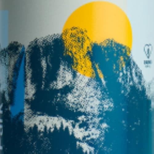 Hydro Flask Wide Mouth Insulated Stainless Steel Water Bottle with Leakproof Lid — Yosemite