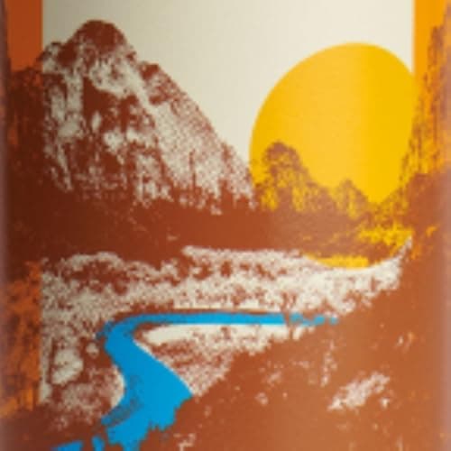 Hydro Flask Wide Mouth Insulated Stainless Steel Water Bottle with Leakproof Lid — Zion