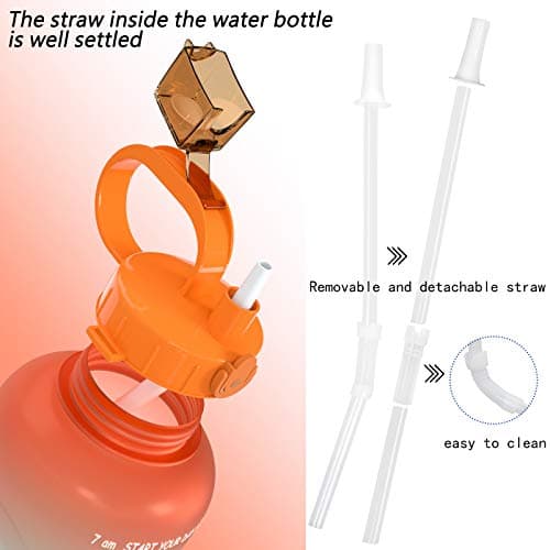 SANKUU Large 1 Gallon Leakproof Water Jug with Time Marker & Straw